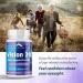 Vision 20 by Zenith Labs - Clinically Proven Lutein & Zeaxanthin with Zinc Citrate for Enhanced Eye Health - Support Eyesight at All Distances & Lighting Conditions - Buy Online on GoSupps.com