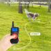 Remote Anti-Bark Dog Collar with Spray/Vibration/Sound/Light - Effective Training System to Stop Barking - Buy Online on GoSupps.com