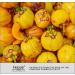 Buy Pure Garcinia Cambogia Extract 500mg - 100% Natural HCA Supports Digestion & Metabolism - 120 Capsules | International Shipping Available - Buy Online on GoSupps.com