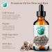 Organic Moringa Seed Oil - Bella Terra Oils | Cold-Pressed Facial Elixir | 2 oz | High in Vitamins A C & E for Radiant Beauty - Buy Online on GoSupps.com