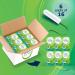 Lil-Lets Non-Applicator Super Plus Tampons X 96 | 6 Packs of 16 | Heavy Flow & Non-Applicator Regular Tampons X 96 | 6 Packs of 16 | Light to Medium Flow + Regular Tampons X 96 - Buy Online on GoSupps.com