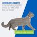Adams Plus Flea & Tick Collar for Cats | Breakaway Collar | 7 Months Protection | Kills Fleas, Eggs, Larvae, Ticks, Nymphs, & Larvae | 2 Pack - Buy Online on GoSupps.com