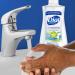 Dial Antibacterial White Tea Hand Soap 7.5 Fl Oz (Pack of 12) - Germ Protection - Buy Online on GoSupps.com