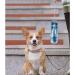 Namsan 550ml Dog Drinking Bottle - Portable Water Bottle for Dogs & Cats | Foldable Travel Bowl for Outdoor Activities - Blue - Buy Online on GoSupps.com