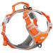 Thinkpet Anti Zug Dog harness dog harness with handle easy to control dog dishes adjustable without choking dog dishes reflective breathable (m orange) orange M (1 Pack)