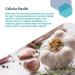 Buy Life Extension Optimized Garlic Capsules - 200 Vegetarian Capsules for Heart Health & Immune Support - Buy Online on GoSupps.com