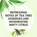 Herbal Essences Tea Tree & Jasmine Clarifying Shampoo + Purifying Conditioner Bundle 20.2 Fl Oz - Buy Online on GoSupps.com