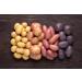 Mynatura Potato Fibers 1kg | Ideal for Soup & Potato Bread | High-Fiber Health Supplement - Buy Online on GoSupps.com