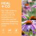HEAL + CO. Echinacea Supplement | High Potency 10:1 Extract 5000 mg per serving | Immune Support | 120 x 500 mg Capsules - Buy Online on GoSupps.com