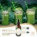 Longevity Clinic Liquid Chlorophyll Drops - 6000mg - 120 Servings - Natural Energy Boost & Immune Support - Made in USA - Buy Online on GoSupps.com