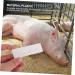 Fomiyes 2st Pregnant Tester for Farm Animals | High Precision Pregnancy Test Paper for Sows & Ferrets - 1 Pack - Buy Online on GoSupps.com