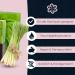 Buy Panu Lemongrass Soap - Vegan Solid Shower & Shampoo Bar for All Skin Types | Natural 110g Premium Soap - Buy Online on GoSupps.com