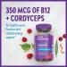 New Chapter Organic Vitamin B12+ Gummies | 44% Less Sugar | USDA Organic & Vegan | Cordyceps | Non-GMO & Gluten Free | 60ct - Buy Online on GoSupps.com
