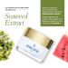 Borghese Crema Ristorativo - 24 Hour Continuous Hydration Moisturizer 1 oz | International Shipping Available - Buy Online on GoSupps.com