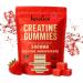 AuraGen Labs Creatine Gummies 5g (5000mg) Sugar-Free Vegan Creatine Supplement for Men & Women 30-Day Supply for Muscle Strength Recovery & Cognitive Support Juicy Strawberry - Buy Online on GoSupps.com