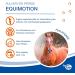 Nutrilabs Equimotion Joint Powder for Horses 1kg - Enhanced with Bitter Melon Rosehip & Artichoke for Optimal Joint Health - Buy Online on GoSupps.com