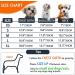 Yaodhaod Fleece Dog Sweater for Small Dogs | Ethnic Style Winter Clothing | Ultra Soft Thermal Blue Puppy Sweatshirt (L) - Buy Online on GoSupps.com