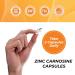 Zinc Carnosine 86 mg Clinically Studied Zinc + L-Carnosine Complex for Gut Lining & Stomach Support | 120 Capsules (60-Day Supply) | Digestive Comfort Mucosal Repair & Balance | Non-GMO - Buy Online on GoSupps.com