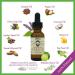 MONA Pure Herbal Beard Oil - 100% Natural Hair Growth Treatment | Thickens, Conditions, Softens, and Hydrates | Frizz-Free Hair & Nourished Skin | Patchouli & Lime 1.0 Fl Oz - Buy Online on GoSupps.com
