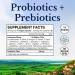 Vitalitown Probiotics + Prebiotics - 60 Billion CFUs, 19 Strains, Vegan, Non-GMO, Digestive & Immune Support - Buy Online on GoSupps.com