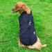 Shop Winter Dog Jackets - Windproof Waterproof 2-in-1 Cold Weather Coats for Small Dogs | Warm Blue Vest - Buy Online on GoSupps.com