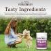 VetPro Dog Hip & Joint Supplement - Pain Relief Chews with Glucosamine, Chondroitin, MSM, Turmeric, Omega 3 & Vitamin C - Arthritis & Hip Dysplasia Relief for Dogs - Buy Online on GoSupps.com