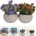 Ciieeo 2pcs Simulated Green Bonsai Artificial Succulents Plants Miniture Decoration Artificial Cactus Small Succulent Plants Silk Plants Greenery Decor Accessories Office Foam Nordic - Buy Online on GoSupps.com