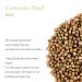 Organic Gourmet Coriander Seed - Elevate Dishes with High-Quality Cilantro Seeds - 100g (3.53 oz) - Buy Online on GoSupps.com