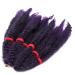 SEGO 11 Afro Crochet Braids Kinky Curly Hair Bulk Extensions in Black & Purple for Stunning Hairstyles | International Shipping Available - Buy Online on GoSupps.com