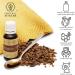 20ml Nordbienchen Propolis Tincture - 20% Pure Propolis Extract from Beekeeper - Buy Online on GoSupps.com