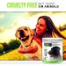 Paw Originals Plaque X 100% Natural Plaque Off & Tartar Remover For Dogs & Cats | Breath Freshener For Dogs Cats & Pets | 180g | No Toothbrush & Supports Gum & Teeth Health 180 g (Pack of 1) - Buy Online on GoSupps.com