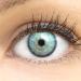 Contact lenses colored 'ibiza gray' without starch colored gray monthly lenses soft lentils soft hydrogel 2 pieces color lens + lentil container 0.0 diopttries natural colors series