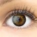 Very covering and natural brown contact lenses Silicone Comfort Novelry "Siena Brown" Braun + container of Glamlens - 1 pair (2 pieces) - Dia 14.50 - Without strength 0.00 Dioptries