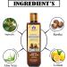 Blessfull Healing Organic Satrita Hair Cleanser | Shampoo 200 ML (Packing May Vary) - Buy Online on GoSupps.com