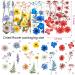 Colorful Real Dried Pressed Flowers & Leaves for Crafts - Resin Art, Floral Decor, Candle & Jewelry Making - Buy Online on GoSupps.com