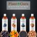 Plant Guru Hazelnut Oil 8 fl. oz. Cold Pressed 100% Pure Natural Carrier - Skin Face Body And Hair Growth Moisturizer. Great For DYI Cream Lotions and Lip balm. - Buy Online on GoSupps.com