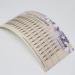 Scala 5D Russian Volume Phoenix Tail Design Eyelash Extensions 0.07mm C Curl - 10mm - Buy Online on GoSupps.com