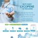 Lycopene 15mg 120 Capsules | Antioxidant Supplement for Eye, Cardiovascular & Prostate Health - Buy Online on GoSupps.com