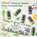 Aeshory 6 x 10ml Essential Oils Set - 100% Pure Therapeutic Grade Aromatherapy Oils for Home Diffusers - Lemon, Lavender, Tea Tree, Eucalyptus, Orange, Peppermint - 60ml Pack - Buy Online on GoSupps.com