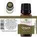 Plant Therapy Oregano Essential Oil 10 mL - 100% Pure, Undiluted, Natural Aromatherapy - Therapeutic Grade Oregano Oil - 0.33 Fl Oz - Buy Online on GoSupps.com