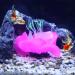 Buy VOCOSTE Aquarium Simulation Coral Water Flower Silicone Pink - International Shipping Available - Buy Online on GoSupps.com