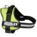 Shop K9 Powerharness 2XL/3 in Kiwi - Durable Adjustable Perfect for Active Dogs | International Shipping Available - Buy Online on GoSupps.com