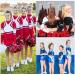 40 Pcs 8 Glitter Cheer Hair Bows Bulk - Silver Shiny Ponytail Holders for Cheerleaders - Buy Online on GoSupps.com
