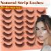 Natural False Lashes Cat Eye Eyelashes Clear Band 14 Pairs Fluffy Fake Lashes Natural Look Wispy Eyelashes Extensions Volume Cat Eye Lashes Strips 8-14MM by Zegaine Fairy - Buy Online on GoSupps.com