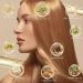 Organic Rosemary Carrier Oil - Essential Oils Mixing Hair & Skin Care 1.75 Floz - Olea Europaea Fruit Oil for All Hair Types - Buy Online on GoSupps.com
