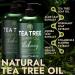 Terramed Just Think Comfort Tea Tree Shampoo & Conditioner Set - Itchy Scalp Hair Loss & Dandruff Relief | Nourishing Sulfate & Paraben Free Haircare for All Hair Types - Buy Online on GoSupps.com