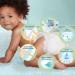 Pampers Premium Protection Size 3 (58 Pieces) - Midi Diapers 6-10kg Big Pack | International Shipping Available - Buy Online on GoSupps.com