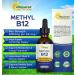aSquared Nutrition Vitamin B12 Sublingual Liquid Drops - 5000 MCG Methylcobalamin Supplement for Energy Boost - Vegan Friendly - 2 fl oz - Buy Online on GoSupps.com