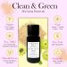 USDA Organic Radiance Superfruit Vitamin C Booster Powder - All Skin Types Plant-Based Skincare 12g - No Synthetics - Buy Online on GoSupps.com