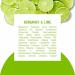 Schmidt's Aluminum-Free Vegan Deodorant Bergamot & Lime 4 Count for Women and Men with 24 Hour Odor Protection Natural Ingredients Cruelty-Free 2.65 oz - Buy Online on GoSupps.com